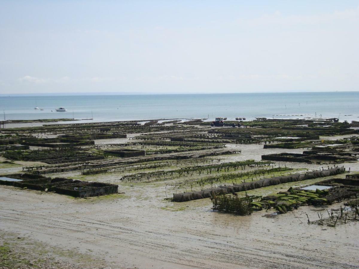 Petit Coin De Paradis Lägenhet Cancale Exteriör bild